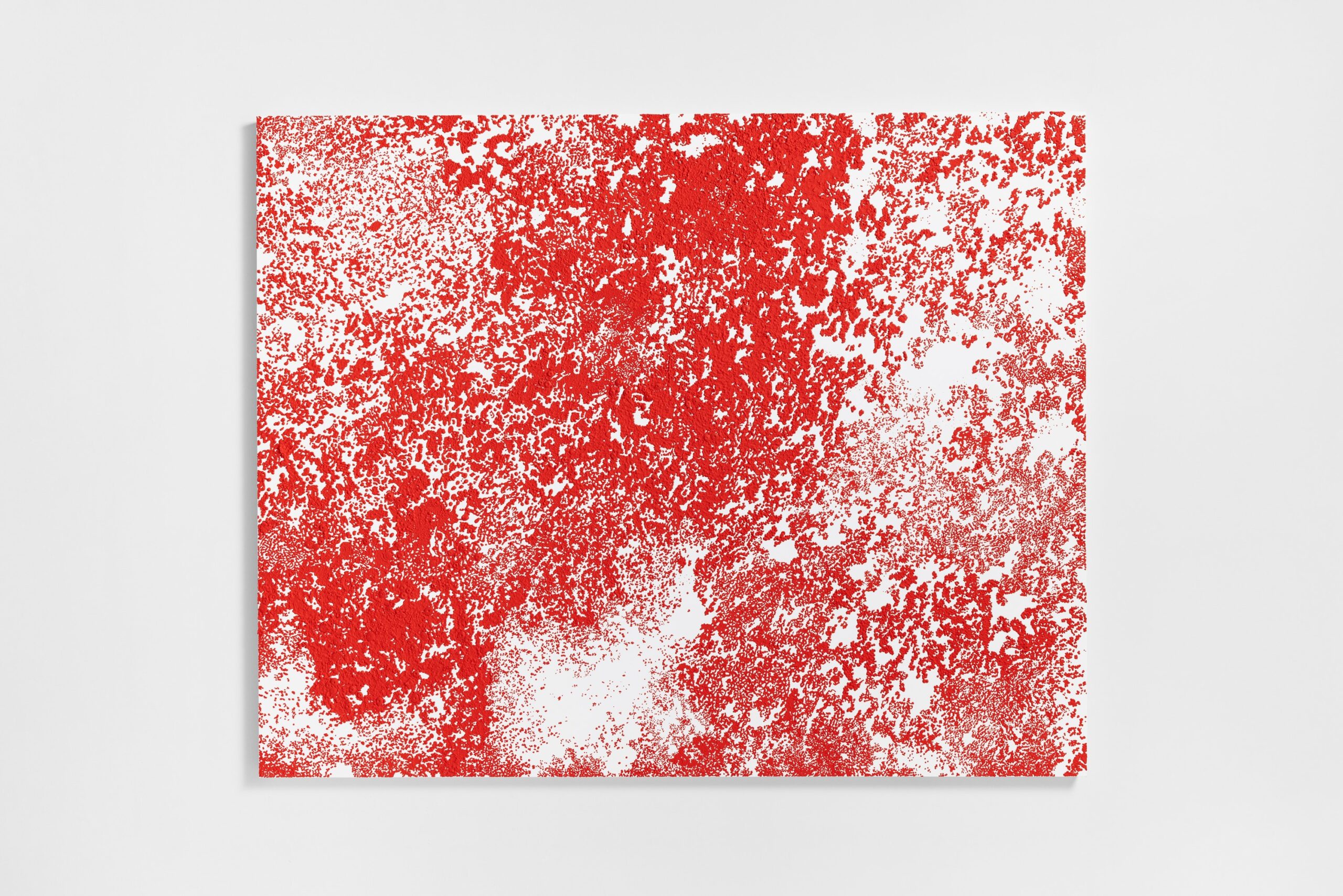 20250122ymt_011